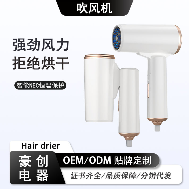 Amazon Cross-Border Simple Compact Folding Hair Dryer Student Dormitory Home High-Power Quick-Drying Blue Light Hair Dryer