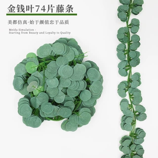 圆叶尤加利藤条仿真花藤金钱叶柳叶拱门酒店装饰婚庆插花摄影道具