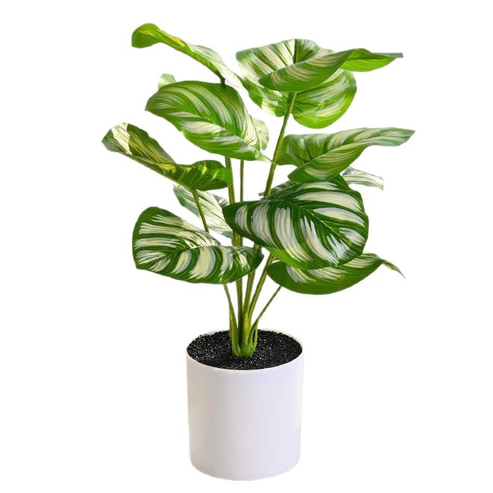 Plantas verdes de 12 hojas, plantas en macetas de simulación, flores artificiales, decoración de estudio fotográfico para el hogar creativo, plantas verdes artificiales, bonsai de simulación image 6