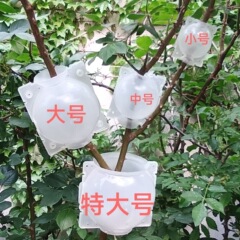 植物高圧繁殖箱高所圧枝植物繁殖球挿根接ぎ木器高活着率ツール