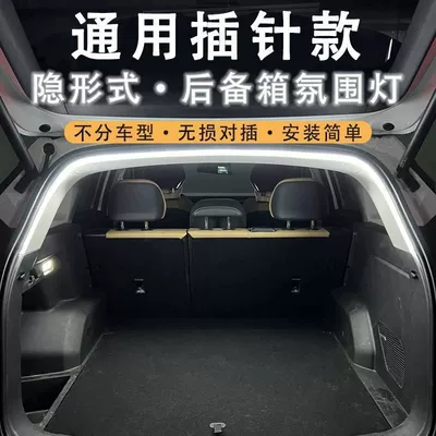 Camping Light, Tail light