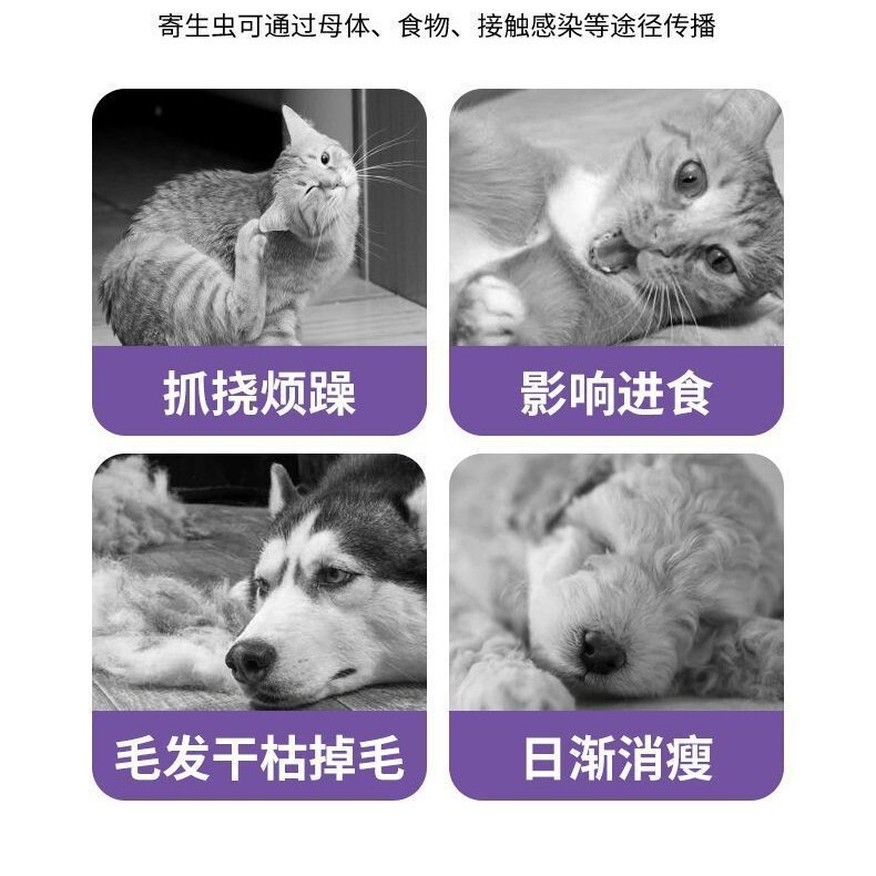 ペットの虫とダニの除去、ペットの外用駆虫、猫と犬の万能ダニ、ノミ、シラミのスプレー、ペットの虫とダニの除去に無害|undefined