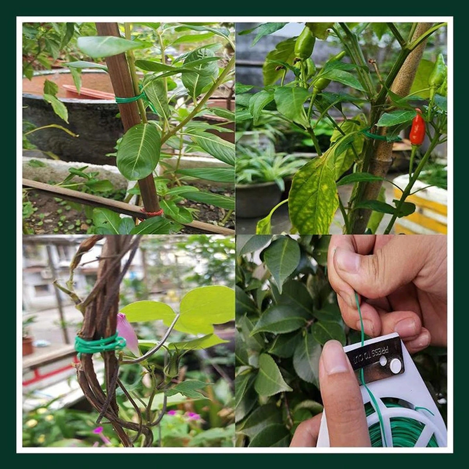 Plant Fixed Rope园林园艺扎带植物绑带 捆绑扎带 蔬菜苗捆绑线-阿里巴巴
