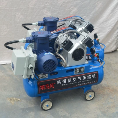 Explosion-Proof Oil-Free Air Compressor Explosion-Proof Air Compressor Exyb-2.2A Air Pump for Oil Field Compressor Chemical Industry