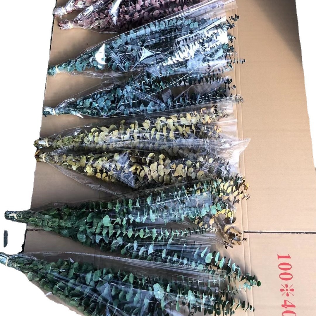 Eterno flor hoja de eucalipto eterno cobre moneda hoja de eucalipto hoja fina eucalipto manzana hoja de eucalipto hoja de mijo eterno mijo fruta