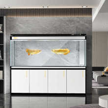 鱼缸客厅大型龙鱼缸超白玻璃水族箱底滤生态屏风免换
