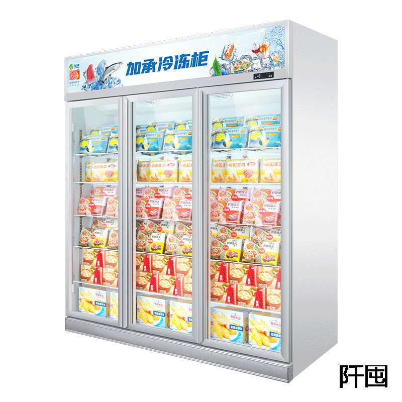加承冷冻柜展柜展示柜冷藏冷鲜肉风冷速冻机商用双门立式雪糕柜
