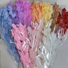 ���~������ins�L�Ҿ��b�diy�������������l�����~���~�ɻ�����