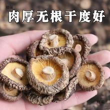 香菇干货特产干香菇500g新货野生蘑菇冬菇无根土特产山货散装包邮