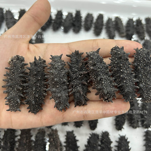 ���_˹���� �S�����l�̅����ɺ����|�̅�������؛70-80�^ȫҎ��