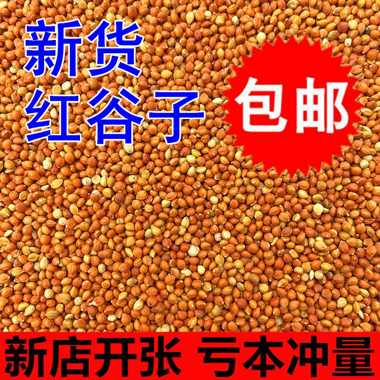 Новая красная просо маленькая птица Тигровая шкура пион жемчуг птица с панцирей желтое просо птица Сюань Фэн