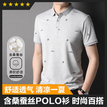 �ļ��¿ɫ����������ʿpolo��ֱͲ���챡�����͸������T����1