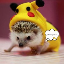 卡通动漫皮卡丘手工宠物服装，适合刺猬 松鼠雪绍花鼠兔子胡子龙