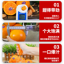 【澳柑】_澳柑品牌/图片/价格_澳柑批发_阿里巴巴