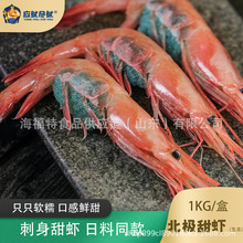 格陵兰岛进口北极甜虾3L带籽刺身大生吃即食日料超低温冷冻寿司虾