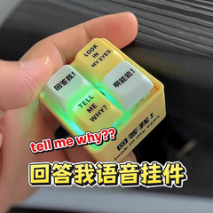 新しい回答おもちゃの引用発音電子発光木魚キーホルダー減圧ボタンフレンドボタンペンダント