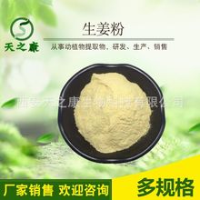 生姜粉  老姜粉 脱水生姜粉 天之康生物供应 速溶生姜粉 生姜提取