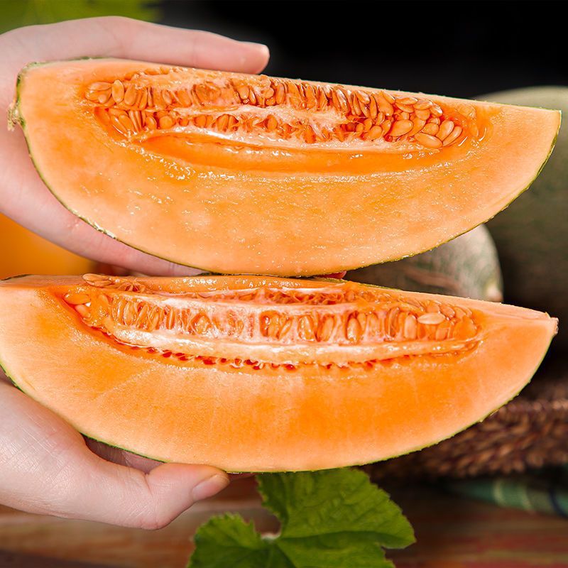 Cantaloupe fresh Season fruit Hainan Xi Zhou Xinjiang Manufactor wholesale
