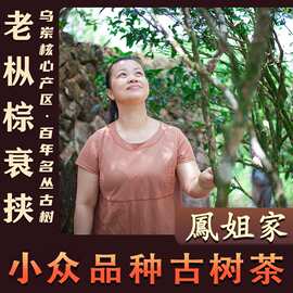 【凤姐家茶 古树棕衰挟】 凤凰单枞茶 乌岽单丛茶 潮州茶
