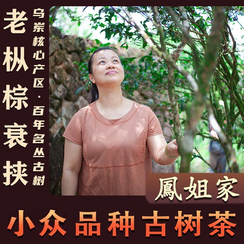 【Feng Jie's Tea Ancient Tree Brown Tea】 Phoenix Dancong Tea Wudong Dancong Tea Chaozhou Tea