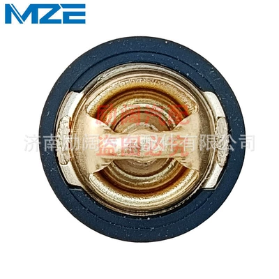 Kawasaki – Thermostat for Kawasaki