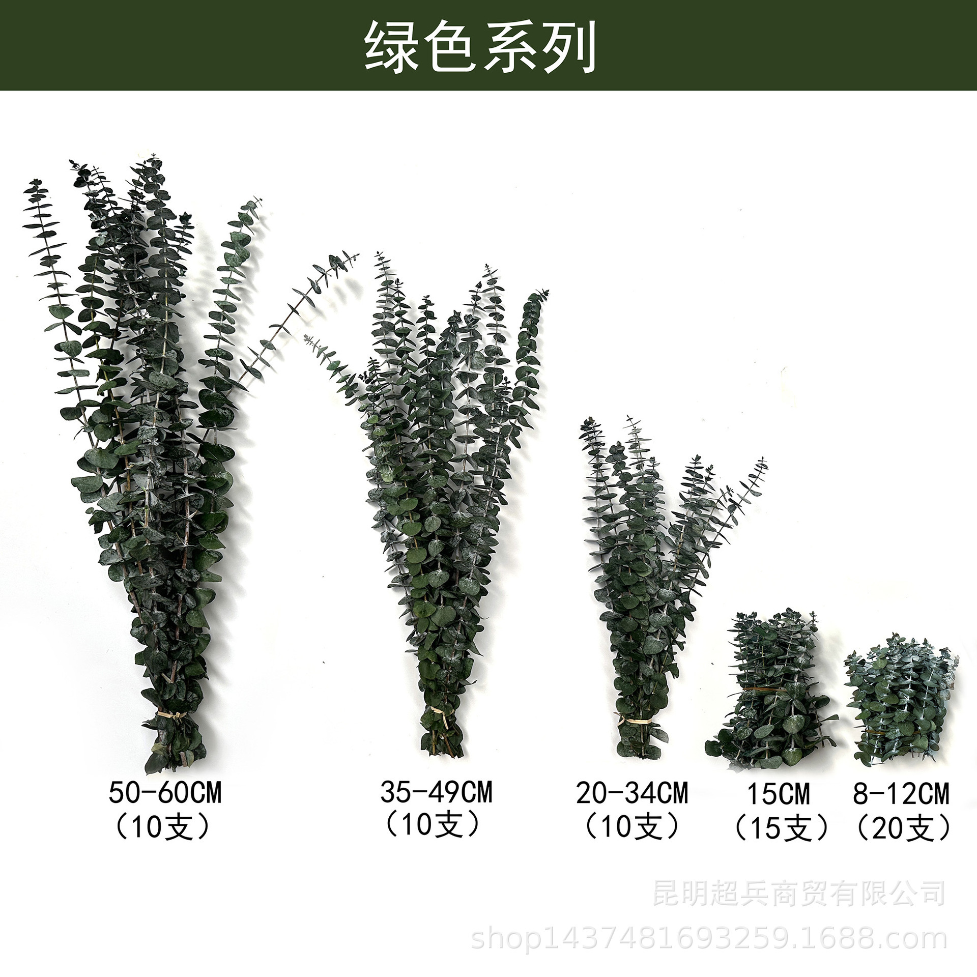 绿色 / 长约50-60CM(10支)