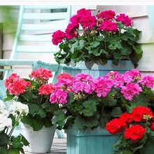 �ذ����ÿ����Ի�����ļ��_�������������҃��̨���B�Ļ���