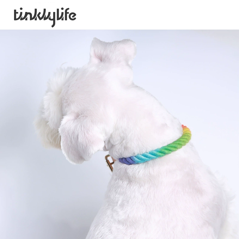 Tinklylife ошейник для выгула собак ошейник для домашних животных кошка градиент Радужный ошейник для собак поводок для собак