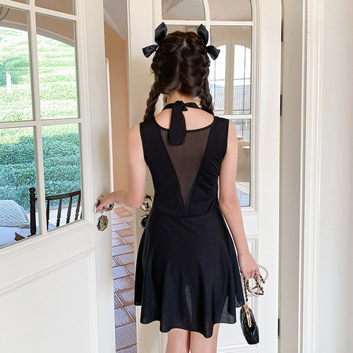 Women's Slimming Hot Spring Swimsuit, Concealing Midsection, Fashionable New Design, Small Cup Bra Cup Support, Push-Up One-Piece, Conservative, Flat Angle Skirt Style Swimwear