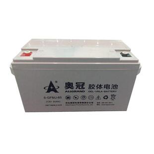 �W����늳�6GFM-100�U���L����12V100AHֱ����̫����ƿ����