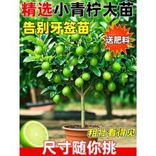 ����С�������玧����ˮ���ʘ��Ϸ������҃ȿ͏d������Թ������