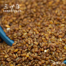 �ڿ��w����ڿ��w���w��ɢ�b�Ƶ��ÿ��w�ڿ��w��ȏS�� �w��