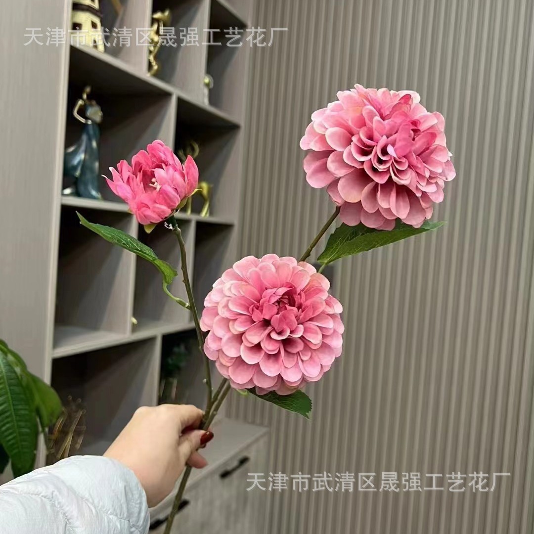 살색 핑크