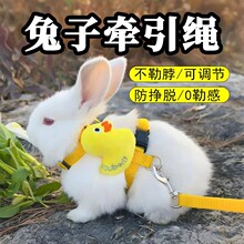 兔子牵引绳防挣脱工字型小型超小背心式伸缩幼兔可调节侏儒兔防咬