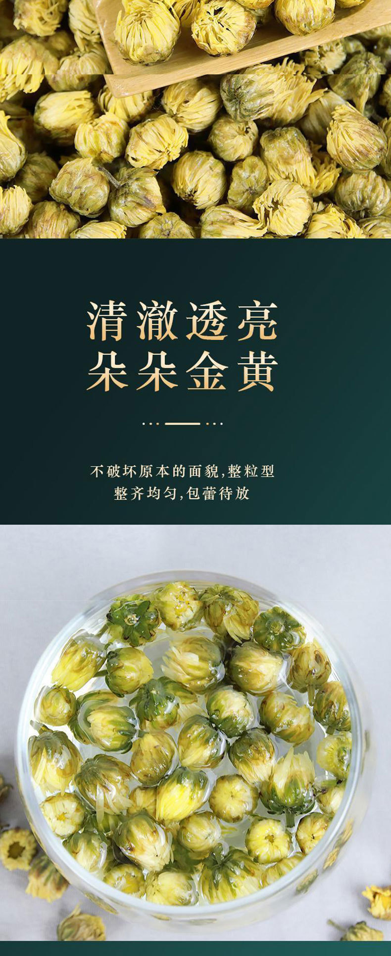 Tai Ju Chrysanthemum Tea (Chrysanthemum morifolium) — Dried Flower Buds for Herbal Infusion key features