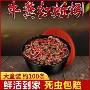 ���w�����D�r��t�x����~�D���a�~���~Ұឺڿ��~�ϴ�C���~ʳ