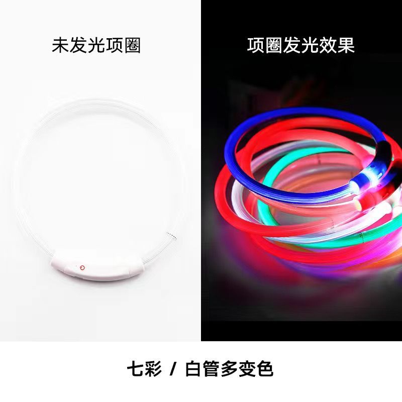 lámpara LED para mascotas collar luminoso para perros collar luminoso para perros collar luminoso para perros collar luminoso