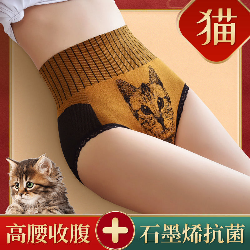 Court Cat Women's High-Waist Pure Cotton Underpants with Antimicrobial Thigh Support and Waist Cincher for a Seamless and Sensual Fit - Plus Size