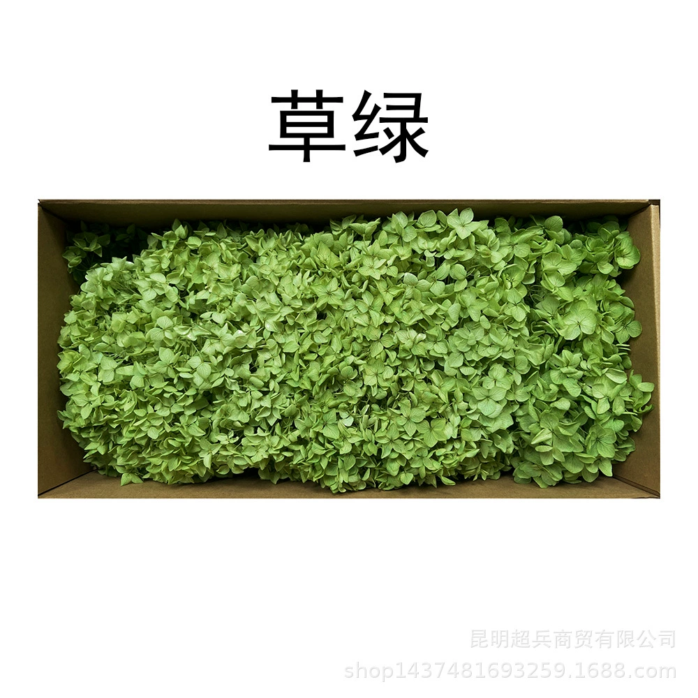 [Вечная Life Flower Hydrangea] Анна Градиентный цвет Лист Hydramid Книга цветов оптом DIY цветочная коробка материал для просмотра