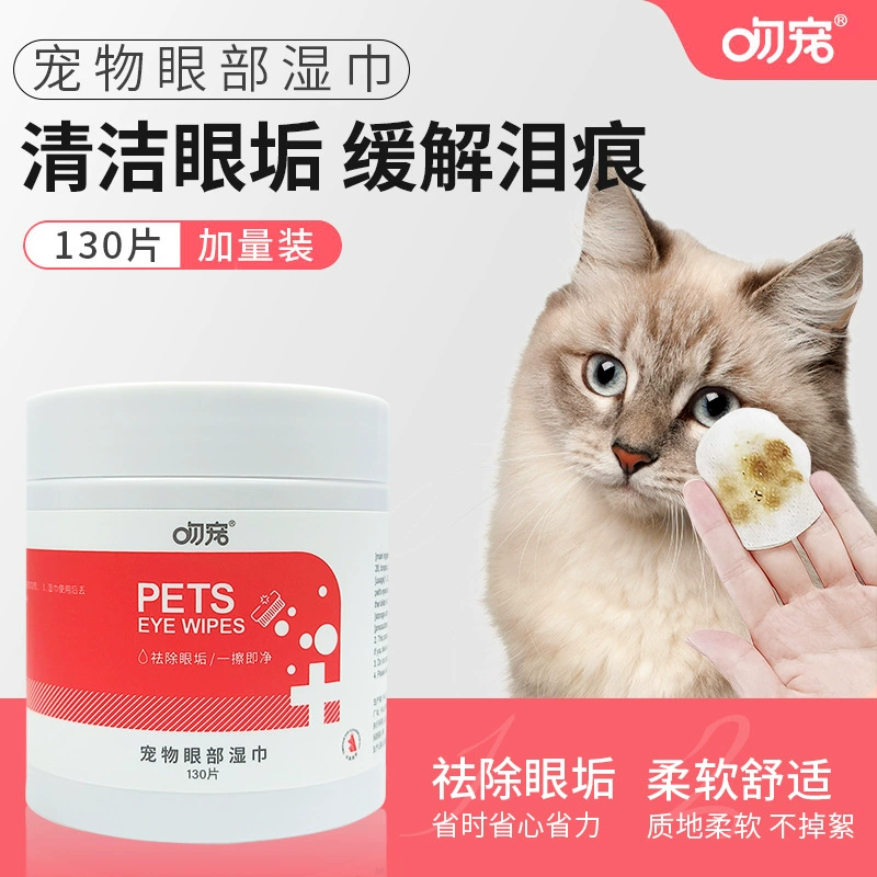 Поцелуй питомца, чтобы вытереть слезы, чтобы очистить глаза кошки, собаки, дерьмо, чтобы использовать влажные салфетки для глаз кошачьего питомца
