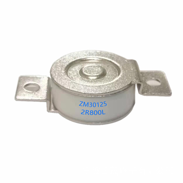 供应 大功率放电管 防雷管 N-PE保护 ZM30125L2 500V-800V