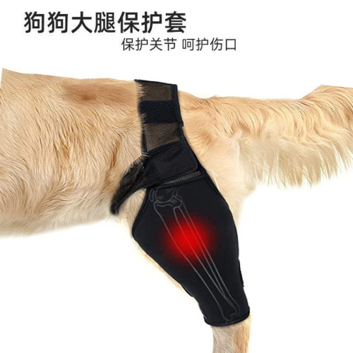 Dog leg injury support front and rear leg protective sleeve breathable adjustable extra support for large dog thigh protective knee pet