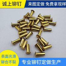 扁圆头半空心黄铜铆钉可来图来样洽谈 可免费提供现样