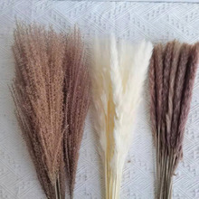 ���������Ȼ�L��ins�JȔ�ɻ��������Ҿ��b���DIY�廨���l