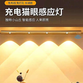 小夜灯;LED球泡灯;彩色灯泡