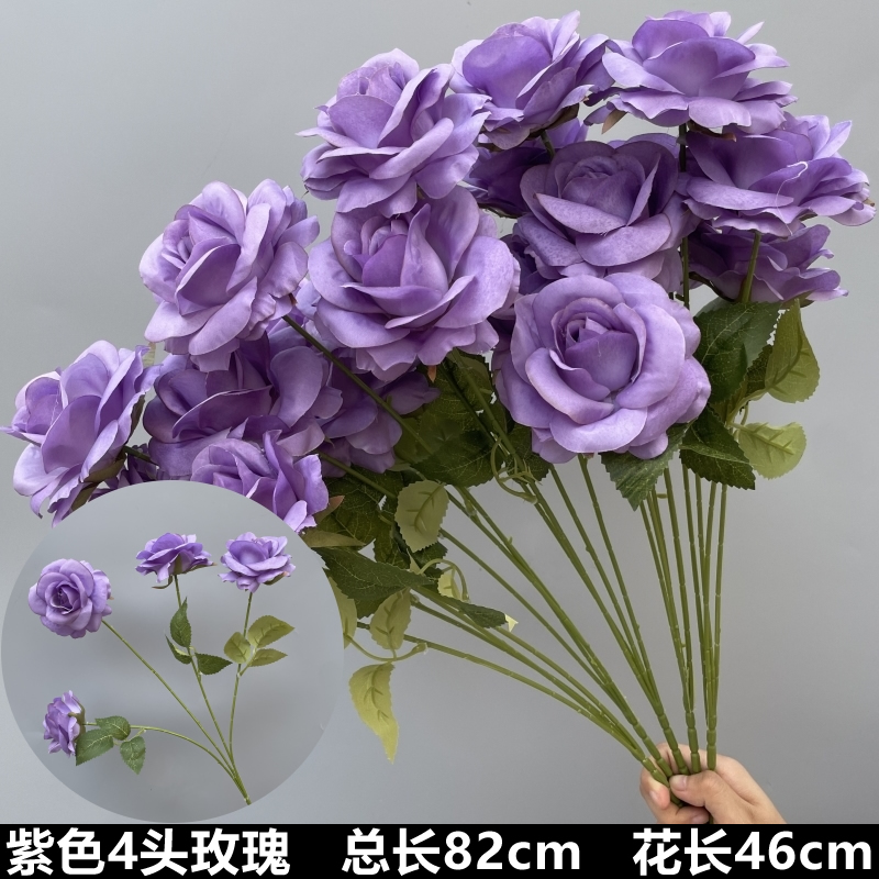 미색 보라색 장미 4송이