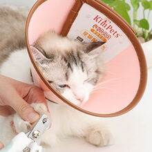 伊丽莎白圈猫咪项圈大型犬金毛头罩狗狗头套宠物防咬舔耻辱圈围脖