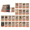 Pirate Wanted Order 24