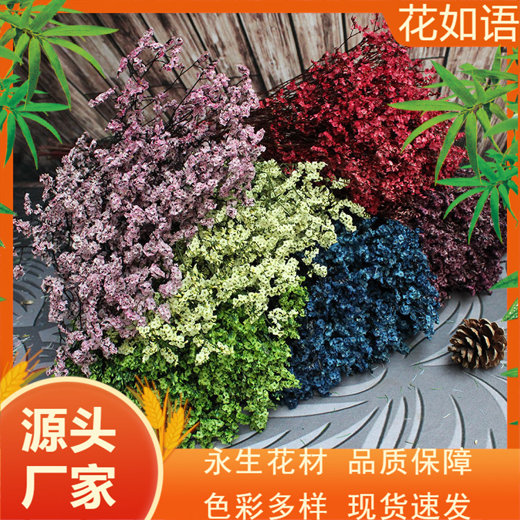 云南干花【水晶草】束套装风干花永生花 装饰花干花 水晶花120克