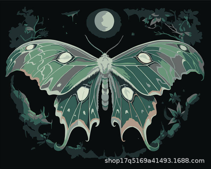 Pintura al óleo digital DIY pintura al óleo hecha a mano para colorear lona núcleo de pintura acrílica serie de estilo explosivo al por mayor y al por menor